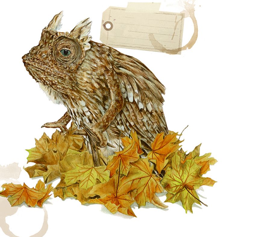 Autumnus, una bestia que lleva el otoño en su interiror y por donde pasa hace caer las hojas