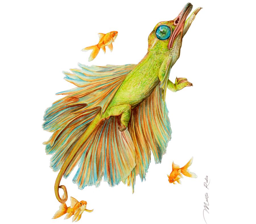 El Verdejo tiene pánico a las escobillas del váter