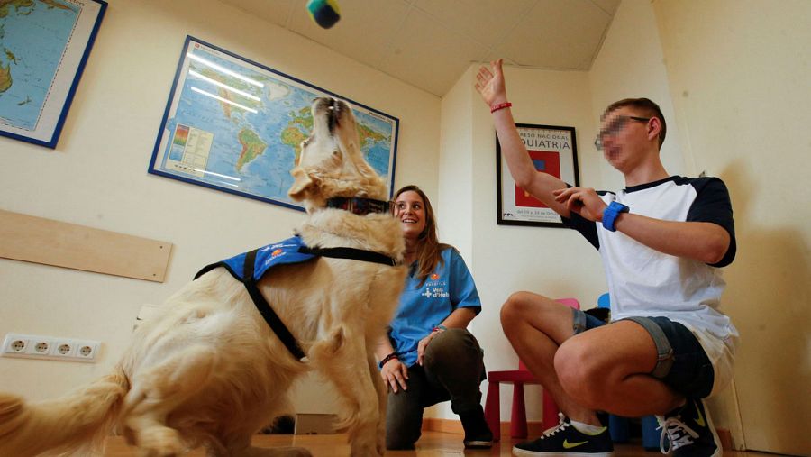 El Hospital Vall d'Hebron de Barcelona ha iniciado un proyecto único en el mundo de terapia asistida con perros.