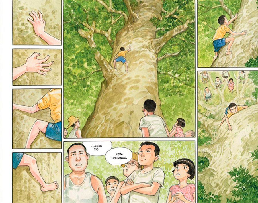 Página de 'El bosque milenario'