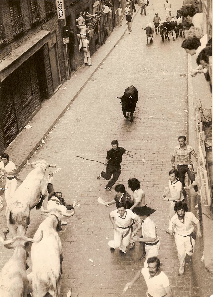 Rastrojo, en una imagen de archivo en los encierros de San Fermín entre un grupo de vaquillas con un toro ante otra manada de mansos