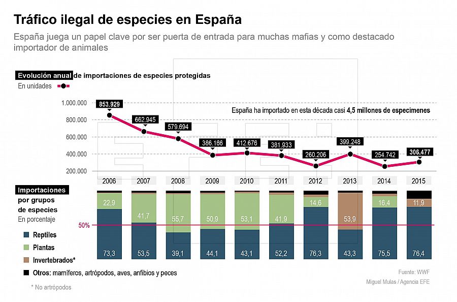 El tráfico ilegal de especies en España. en números. EFE