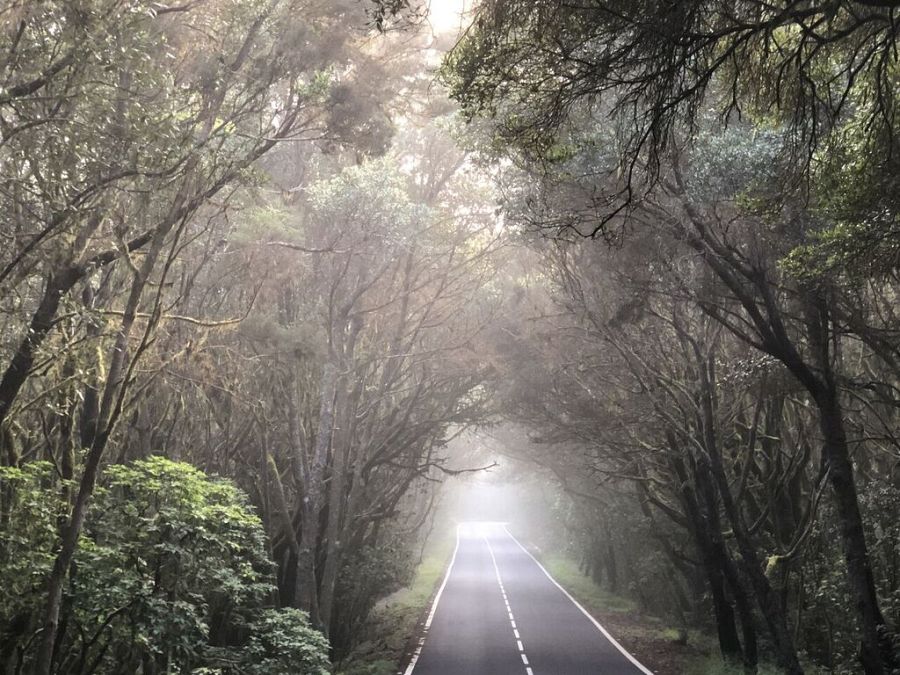 ¡Qué animal! viaja hasta fascinantes rincones de toda España para descubrir los misterios de nuestra fauna