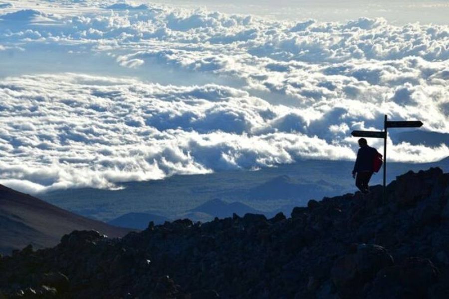 ¡Qué animal! recorre la isla de Tenerife para desvelar los secretos de su fauna