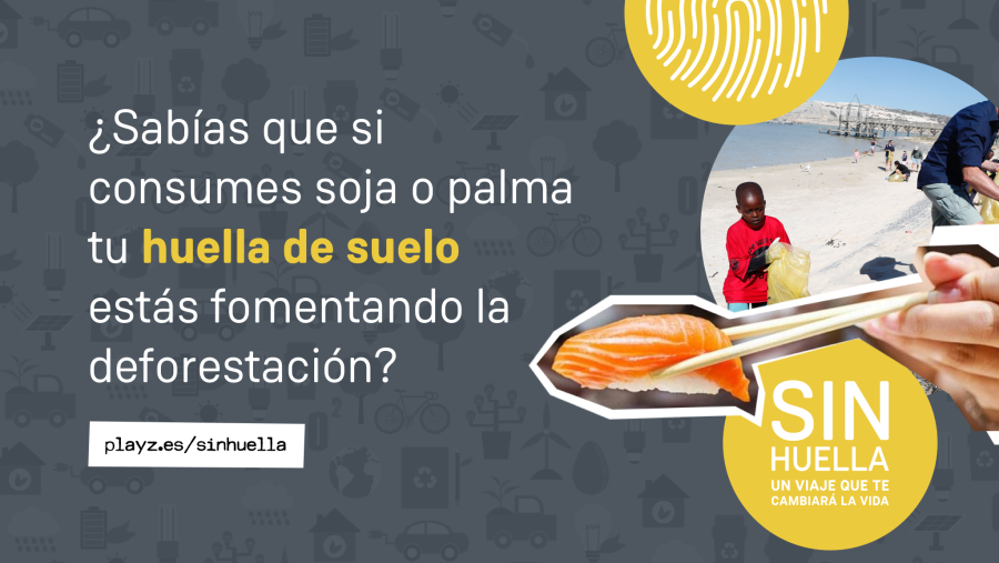 El aceite de palma está presente en el cincuenta por ciento de la comida envasada que se vende en los supermercados