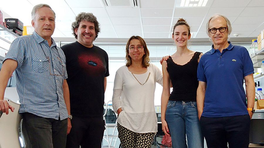 Alberto Pérez, Aitor Palomino, María Domercq, Alazne Zabala eta Carlos Matute, personal investigador de la UPV/EHU, centro Achucarro y ciberNed. UPV