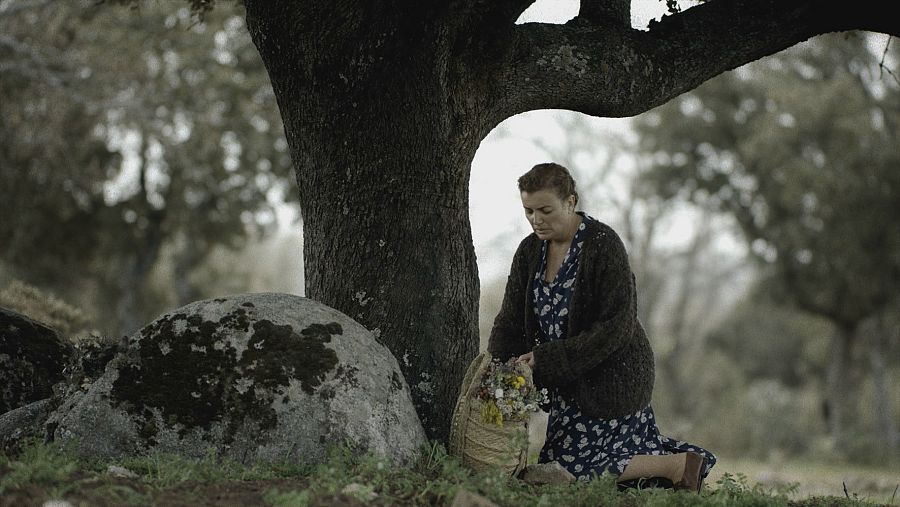 Herminia hace un viaje a su pasado