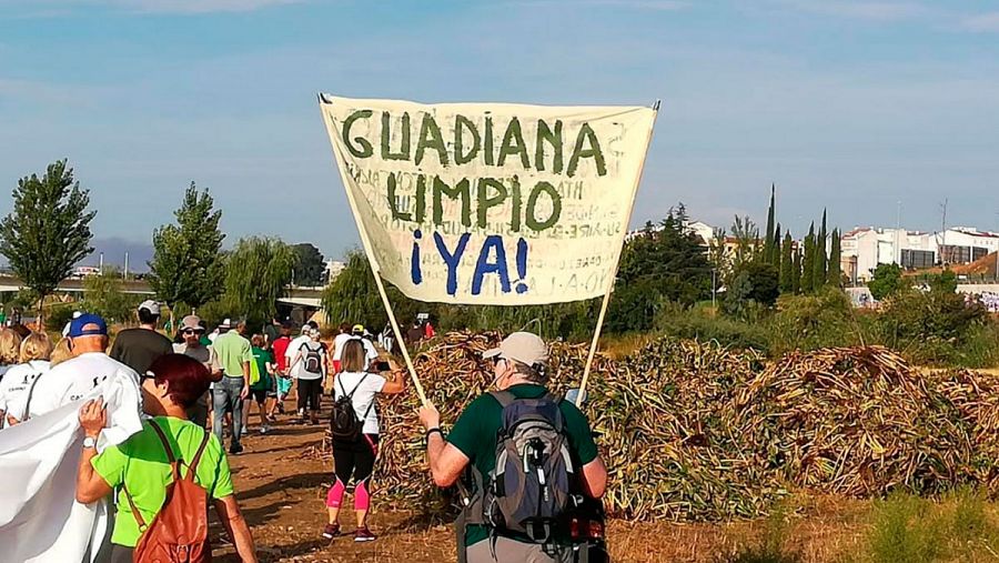 Cientos de personas piden medidas para erradicar el camalote y el nenúfar mexicano del Guadiana