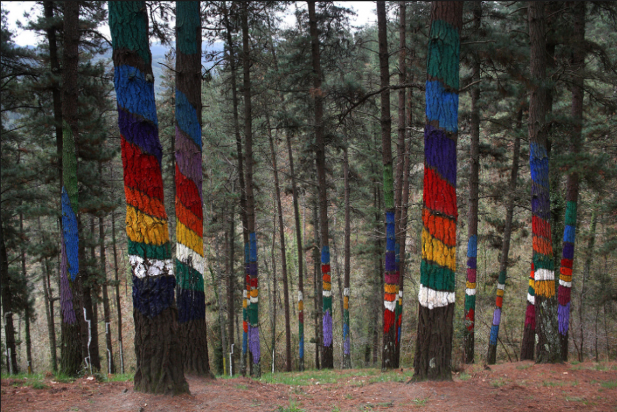 'Bosque de Oma' de Agustín Ibarrola