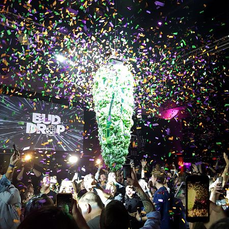A decoration resembling a giant marijuana bud drops towards the crowd at midnight, during a party marking the legalization of recreational cannabis in Toronto