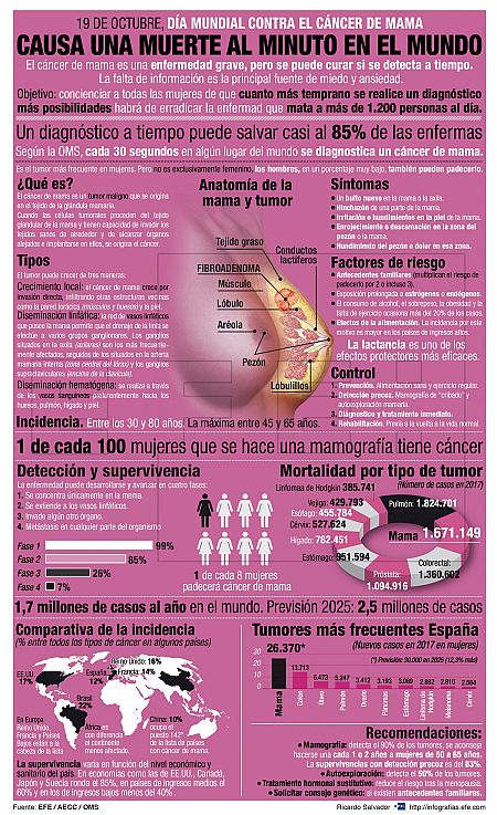 El cancer de mama, en datos