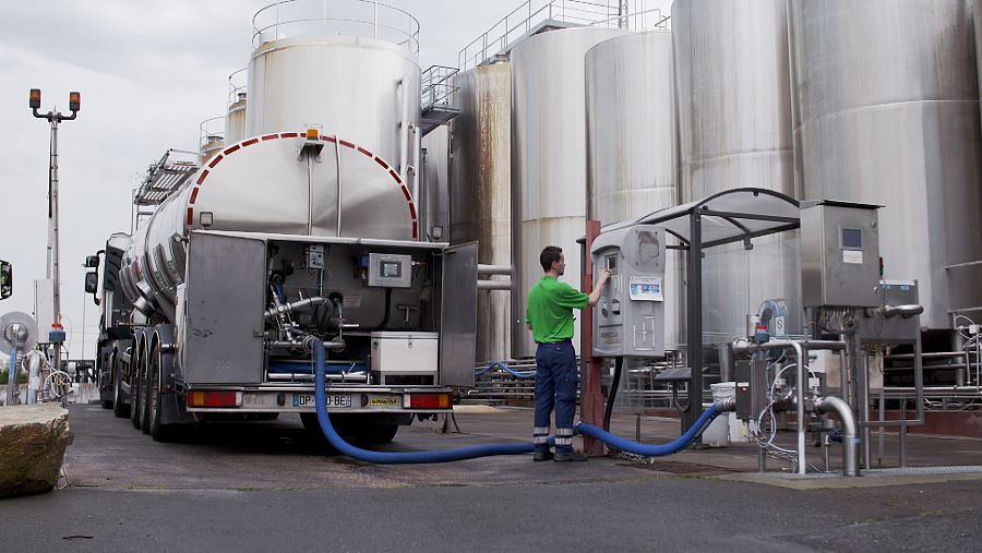 Microbiólogos, expertos, y médicos explican la diferencia entre la producción tradicional e industrial de la leche.