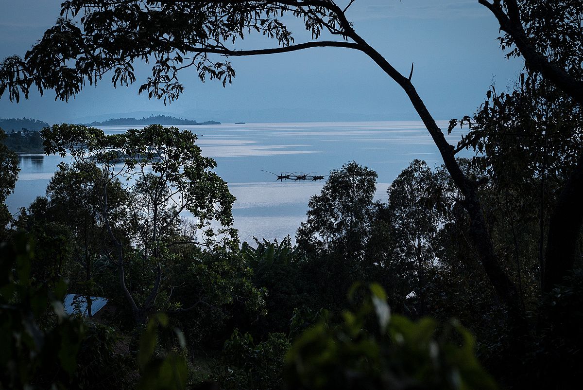 Barcas de pesca en el lago Kivu, vistas a travs de un hueco entre los rboles de la selva que lo rodea.