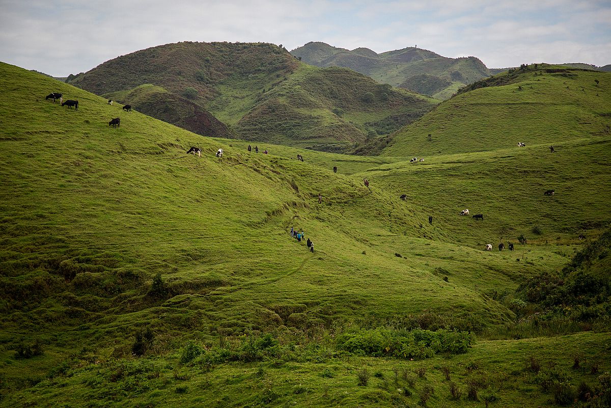 Una hilera de personas caminando por un sendero entre la frondosa vegetacin.