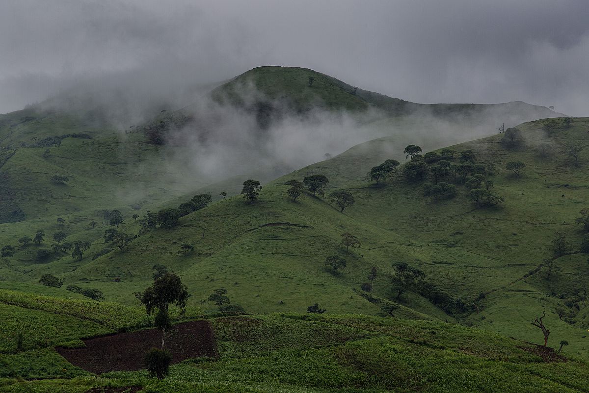 Paisaje de verdes colinas con jirones de niebla y un cielo cubierto.