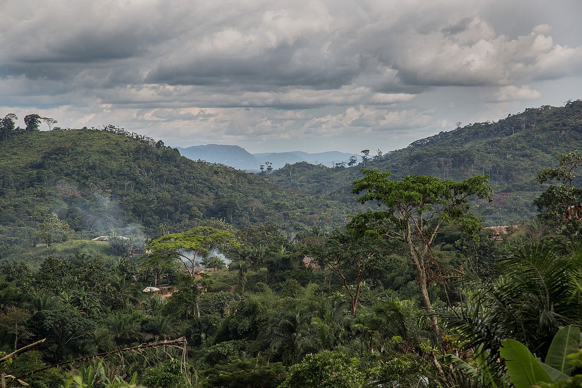 Un poblado se adivina rodeado por la espesa selva. El humo de los hogares de Lulingu delata su presencia.