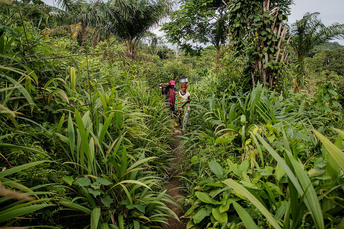 Dos personas avanzan por un pequeo sendero en medio de la selva, rodeados completamente de vegetacin.