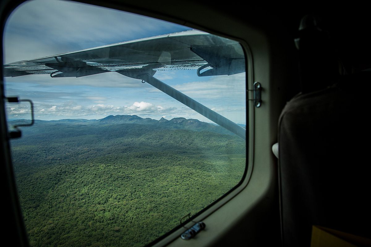 Paisaje selvtico a travs de la ventanilla de una avioneta. Al fondo se aprecia una formacin montaosa.