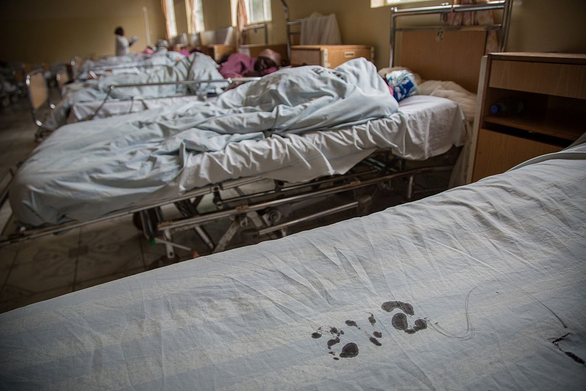 Una larga hilera de camas con pacientes del hospital Panzi y en primer trmino una vaca, recin desocupada.