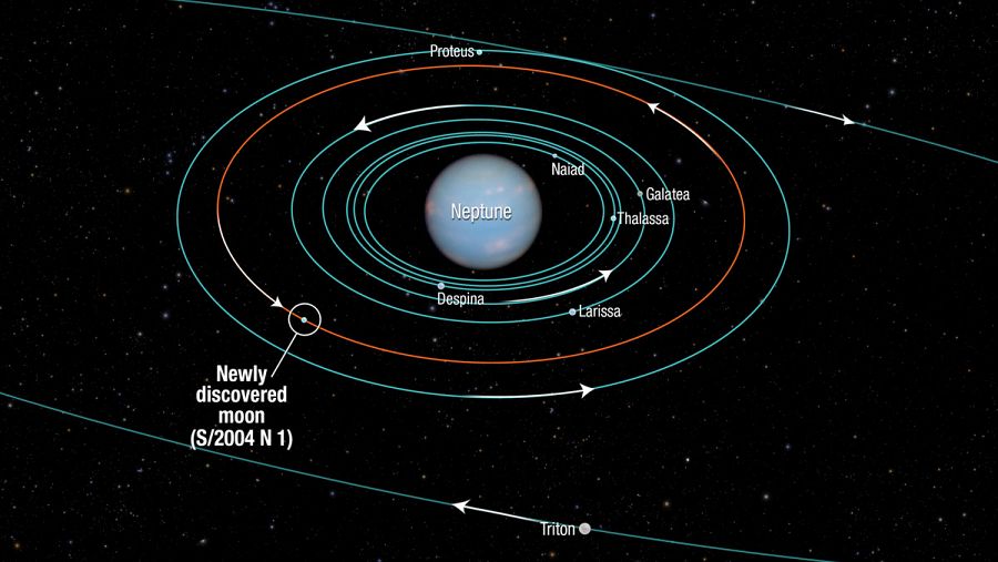 Diagrama que muestra las órbitas de varias lunas ubicadas cerca del planeta Neptuno