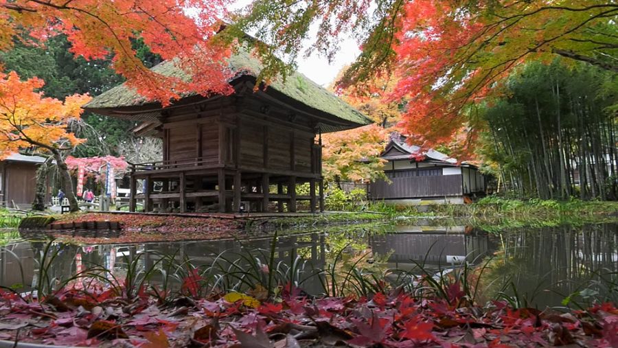 Imagen del primer porgrama de 'Españoles en el mundo' de esta temporada en Tohoku
