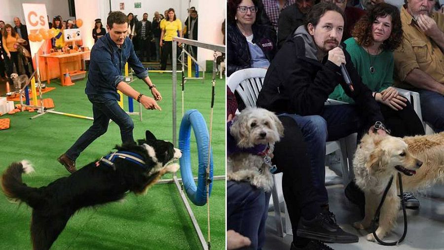 Pablo Iglesias y Albert Rivera participan en actos sobre bienestar animal. EFE