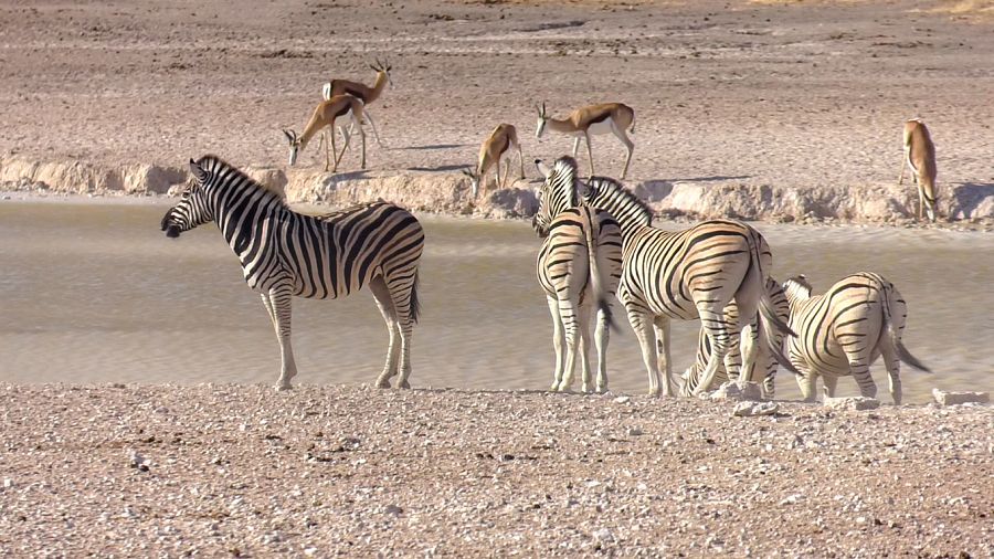 'Españoles en el mundo' conoce Namibia