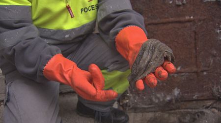 El monstruo de las toallitas en Comando actualidad