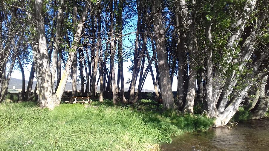 Una mujer camina por las calles vacías de Villadoz