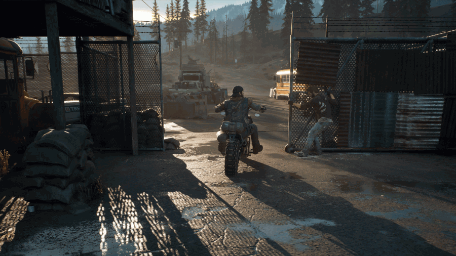 Imagen de Days Gone