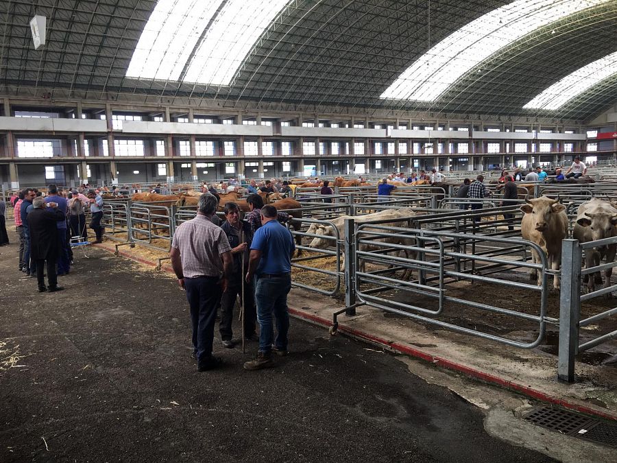 Un grupo de ganaderos, en el Mercado Nacional de Ganados de Torrelavega