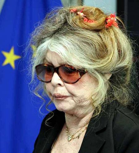 La actriz Brigitte Bardot, candidata en las elecciones europeas.