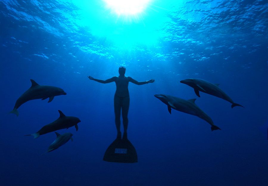 Imagen de The Cove, documental ganador del Oscar que abre la semana del medio ambiente en La 2