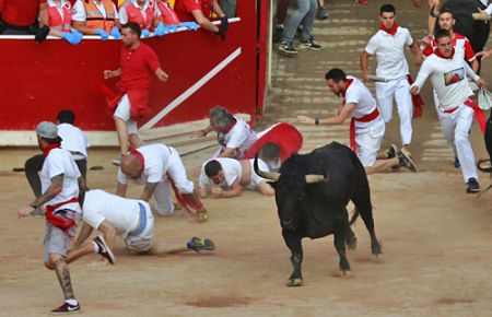 Un toro hace su entrada en la Plaza de Toros de Pamplona