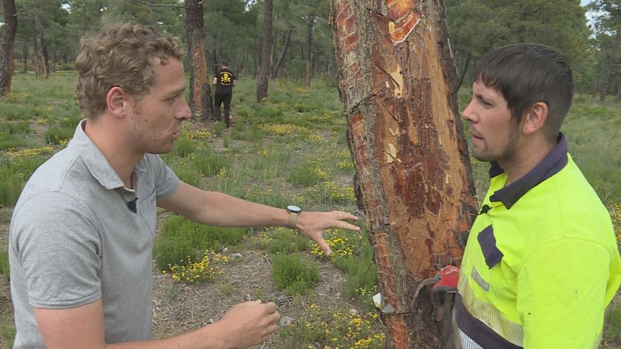 En León, y en otras zonas, la despoblación es una de las causas de tantos incendios