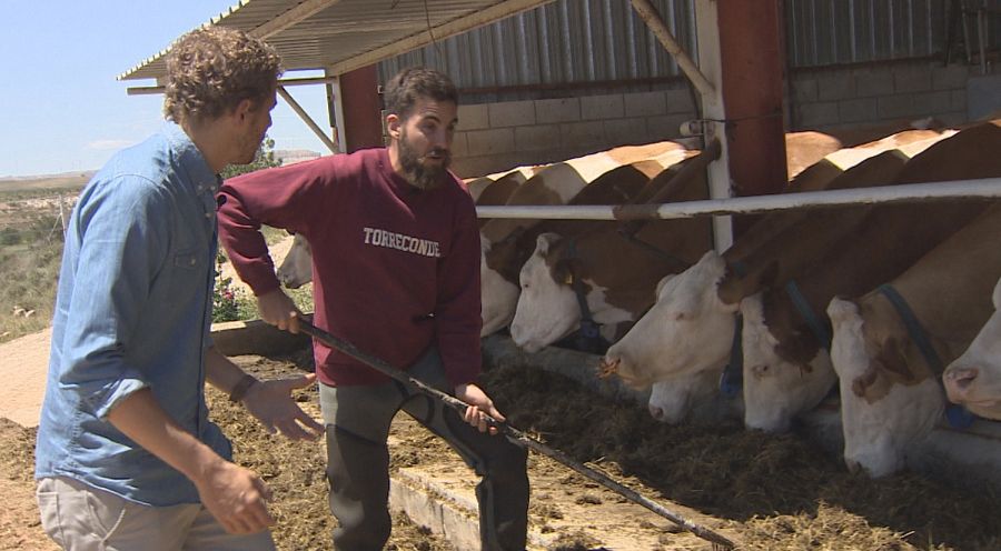 Recuperando viejos oficios en Zaragoza, para resucitar los pueblos