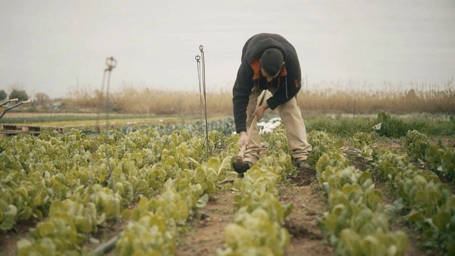 L'hort ecològic d'en Xavier Espada, al capítol 'Para el carro!' del programa 'Menja't el món'