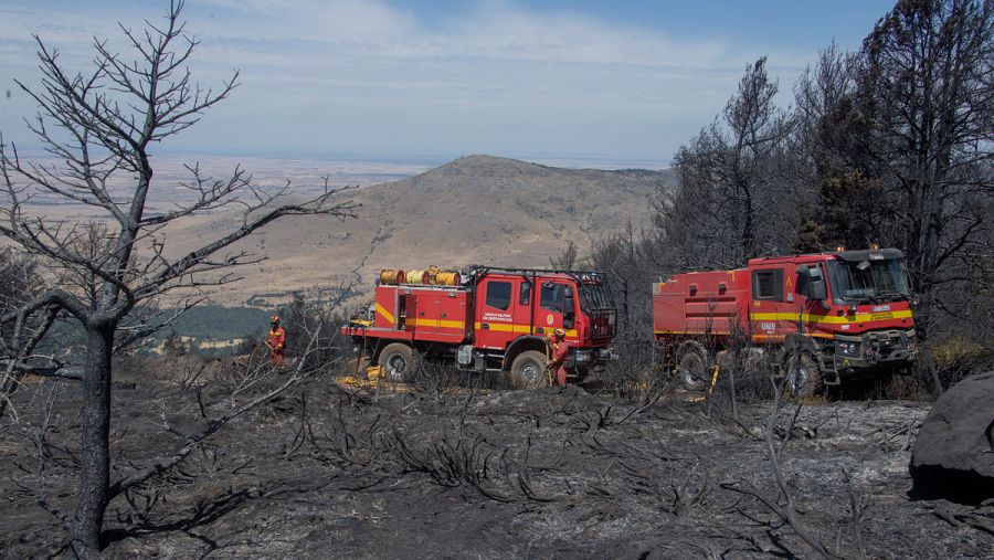 El incendio de La Granja ha afectado a más de 400 hectáreas, 150 de ellas en el Parque Nacional de Guadarrama.