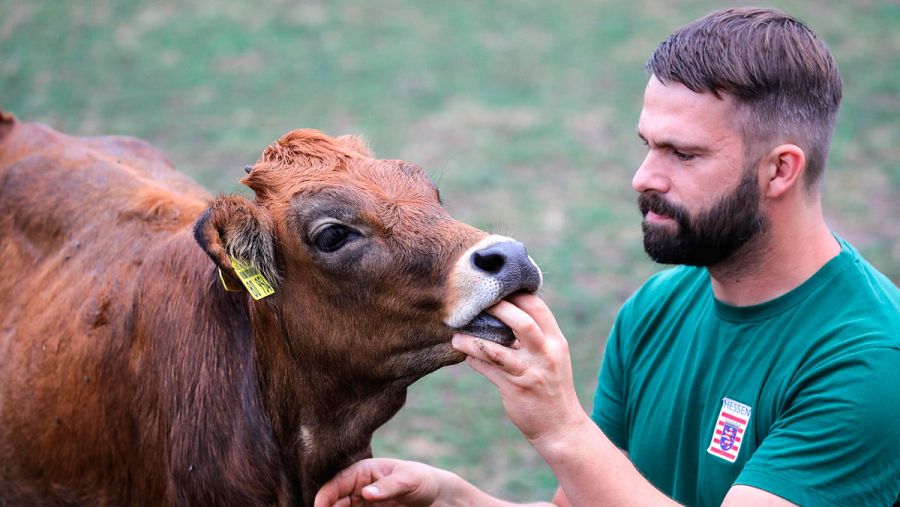Un ganadero alemán junto a una ternera.