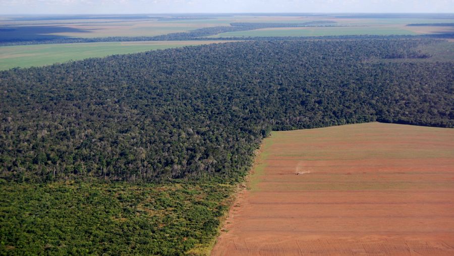 El récord de incendios ha coincidido con el incremento de la deforestación asociado a la política de Bolsonaro.