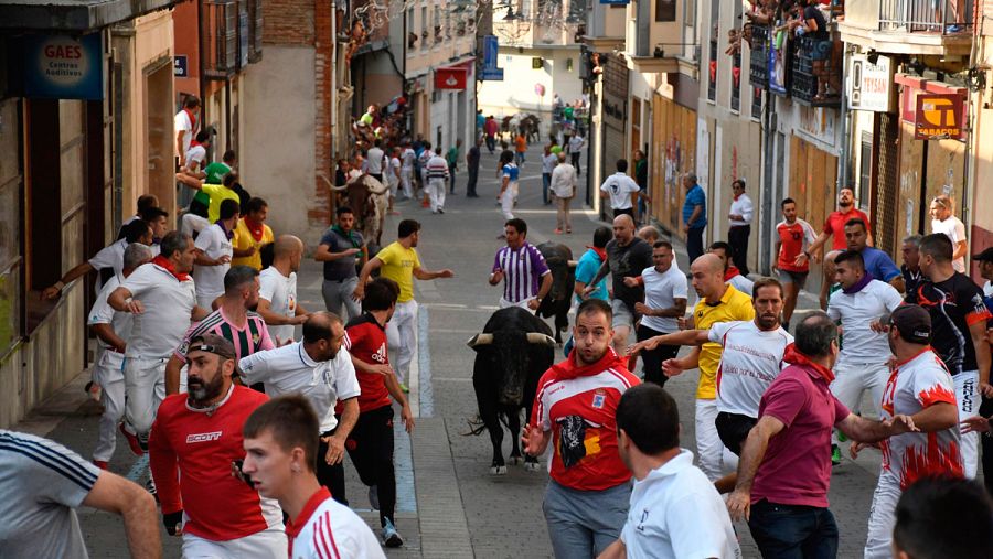 Los encierros de Cuéllar, considerados los más antiguos de España, tienen su origen en el siglo XIII y han sido declarados de Interés Turístico Internacional.
