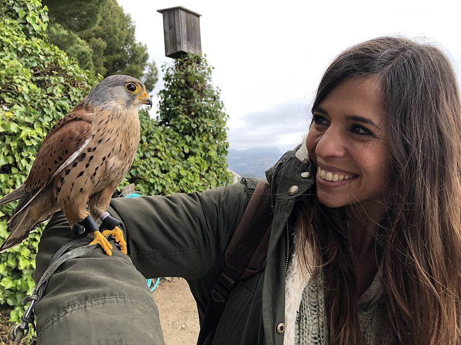 '¡Qué animal!' estrena nueva temporada en La 2