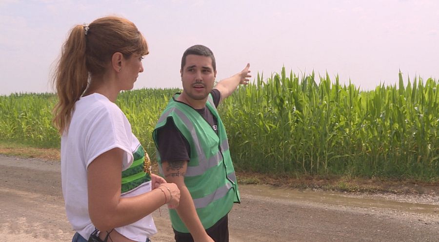 En el reportaje mostrarán la opoinión de grupos animalistas