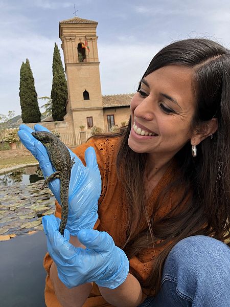 ¡Qué animal!. El gallipato