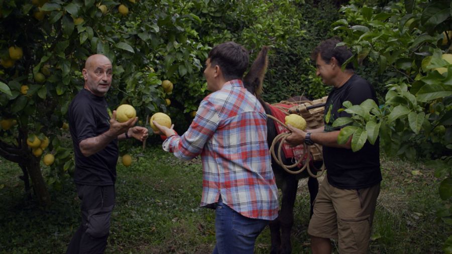 Eva Hache probará los limones más peculiares del país