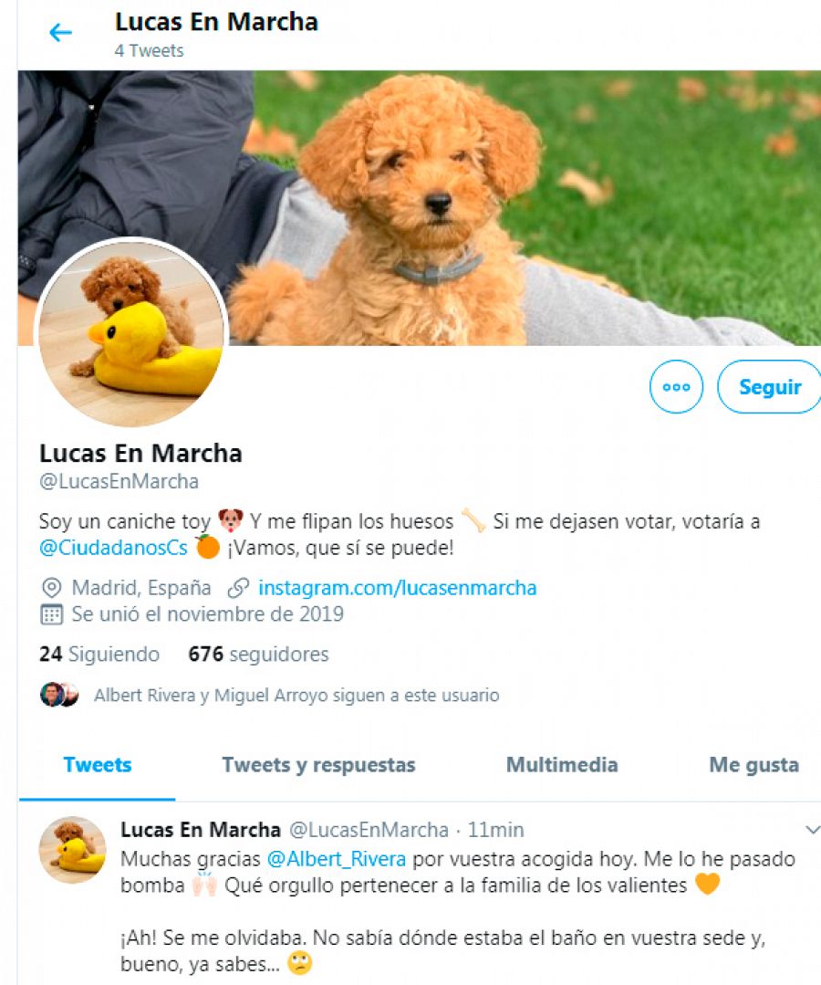 Lucas tiene perfil en Twitter y en Instagram y muestra su intención de votar a Cs si pudiera