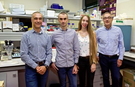 El equipo de investigación, de izquierda a derecha: Juan Martínez-Pinna (UA), Sergi Soriano (UA), Minerva Gil (UA) y Ángel Nadal (UMH).