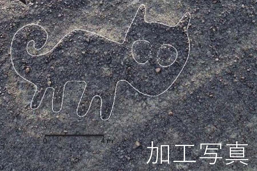 Un geoglifo que parece representar a un gato.
