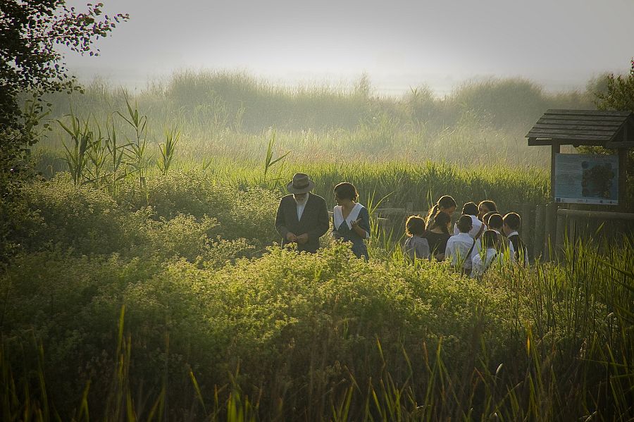 Los paisajes de Valencia, la tierra del maestro Angel Llorca