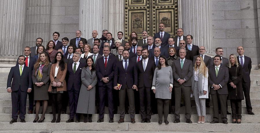 Los 52 diputados de Vox posan en la escalinata del Congreso de los Diputados